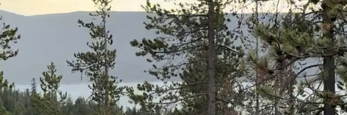 Pine forest above Paulina Lake inside Newberry Crater on an overcast fall day
